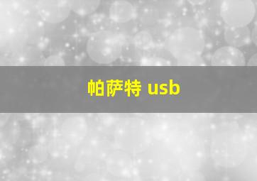 帕萨特 usb